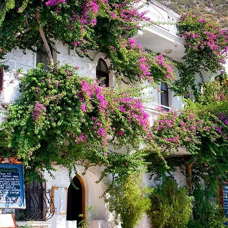Eden Collection Alara Καλκάν
